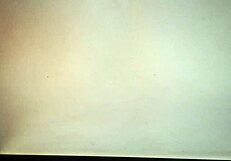 Amateur Shemale Bertaluz Peruanita Sucks!