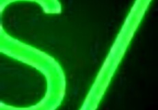 i see cute raven on officer's desk for interview