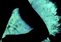 Vintage lingerie model showcases retro stockings and antique pieces