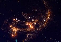 Can you handle this latina's horny new year blowjob?