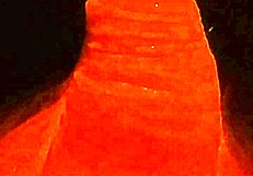 Ifoslave Delivers Intense Slow Cock Stroking Leading to Explosive Masturbation and Creampie