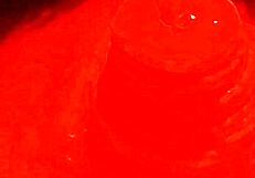 Ifoslave Delivers Intense Slow Cock Stroking Leading to Explosive Masturbation and Creampie