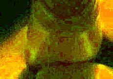 Ifoslave Delivers Intense Slow Cock Stroking Leading to Explosive Masturbation and Creampie