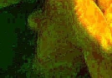 Ifoslave Delivers Intense Slow Cock Stroking Leading to Explosive Masturbation and Creampie