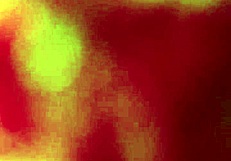 Unfaithful Latina ass pays rent with sex