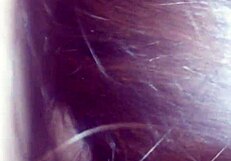 Mamadita En Casa Gives Intense Oral Pleasure