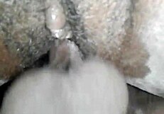 long stroking my bitch with big cock on her big ass