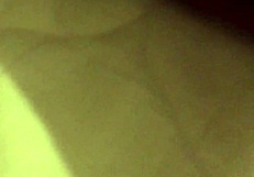 My dear wife’s pussy drives me wild every single day