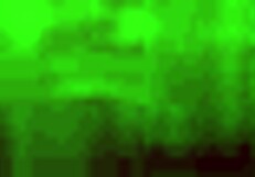 vika, the russian young woman, gives a blowjob in a homemade setting