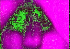 Exploring Retro Vintage Porn