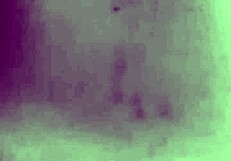 Married Latina Milf Meets Young Stud In Hotel For Assfucking And Cumshot