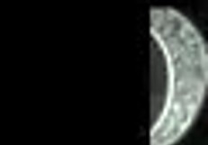 Hot Teen 18+ Shows Ass and Pussy in Public?