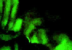 Petite girl delivers intense oral sex treat passionately with petite body