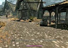 Skyrim Sex With Multiple People Including Anal And Oral