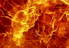 Monster Cock Unleashed Miguel 24Cm In Outdoor Gangbang