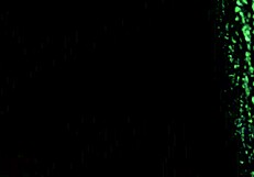 homemade video on the sofa with amateurs.