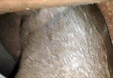 Black amateur couple enjoys closeup intimate moments