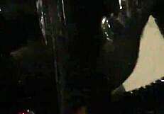 I'm walkin in latex wit my vrbirator buzzin outside