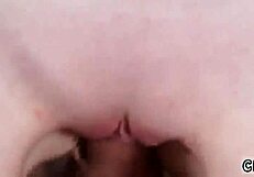 Red Fox Masturbates In Family Affair.