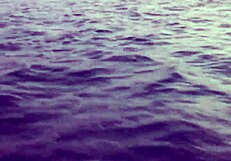 Mexican Chick Fingering Shaved Pussy On Jet Ski