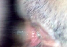 सोलो मिशनरी ऐनल एडवेंचर