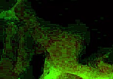 A basic oral activity demonstration in a personal setting