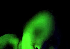 Good morning indeed when such a blowjob wakes you up, filipina scandal in cowgirl riding early!