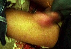 Attractive mature ladies chat