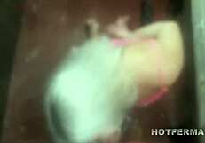 i watch prima safada suckin my big cock and cum on her slutty ass and tits