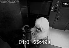 superheroine bundle vol 1 preview by immeganlive