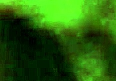 i am touching myself in a suggestive way, reaching orgasm