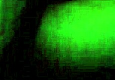 Perfect Ass Tj Hump Teases With Curves