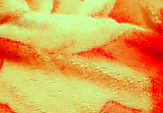 Girl showcases her sexy body in a detailed display