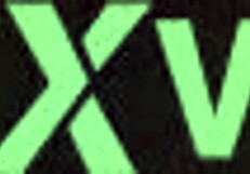 Amateur Girl Delivers Intense Blowjob in Homemade Scene