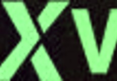 Amateur Girl Delivers Intense Blowjob in Homemade Scene