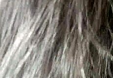 Detailed Sucking Of Wife's Pussy In Passionate Encounter