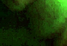 Mature Lady Sucks Dick Well