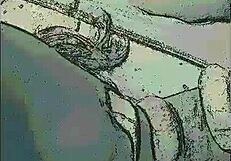 Stranger Asks For Help