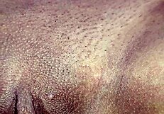 I'm So Overwhelmed Seeing My Beautiful Indian Babe Get Fucked Hard by Her Boyfriend. It’s Pure Homemade Passion!