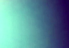 I suck my girlfriend's pussy!