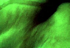 What Makes Gay Bears So Provocative?