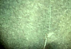 stepdaughter eli takes me for a ride in public outdoor setting