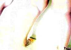 Ebony Pornstar Bends Over For Doggystyle Banging Before Husband Returns