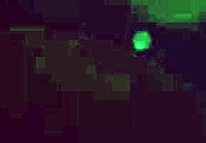 Learning how to connect with your partner