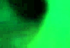 Latina Masturbation Compilation in Night Club, Bent Over Doggy Dancing