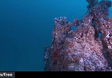 Johnny Rapid and Diego Sans Suck Anal in Gay Pirate Parody