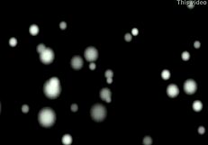 porsha's personal video session