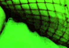 AMAZING WET SQUIRTING PUSSY PLAY WITH BIG TITS AND ROUGH DILDO ACTION, THIS WIFE GETS SOAKED IN AMATEUR FUN!