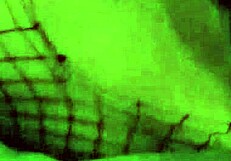 AMAZING WET SQUIRTING PUSSY PLAY WITH BIG TITS AND ROUGH DILDO ACTION, THIS WIFE GETS SOAKED IN AMATEUR FUN!