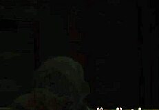 Busty Babe Roughly Drilled In Dorm